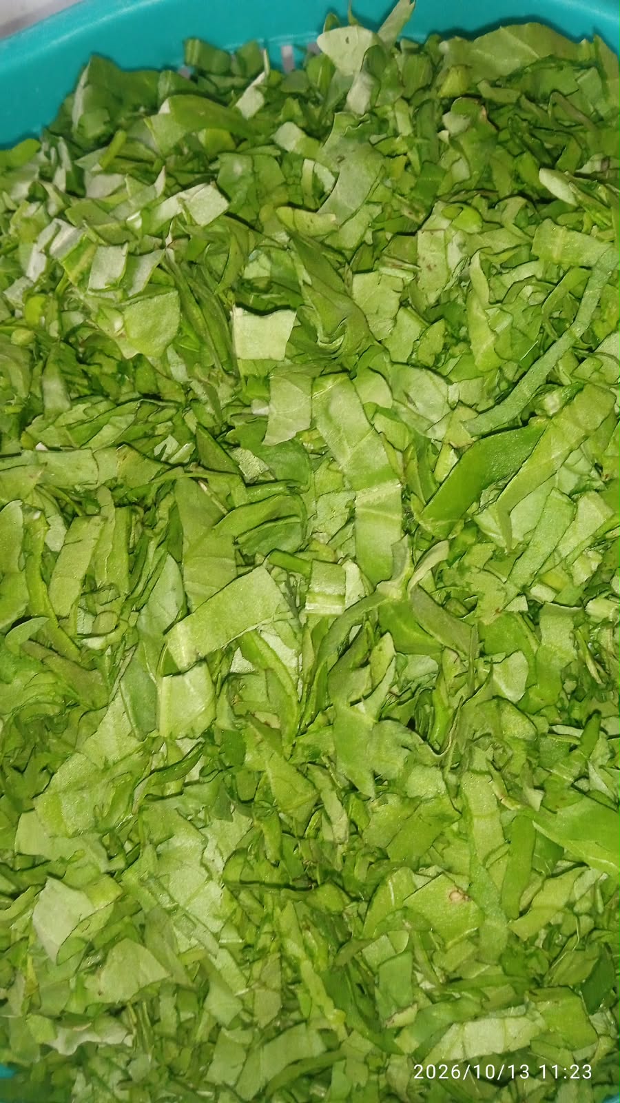 Palak | Kati Hooi Saaf Palak